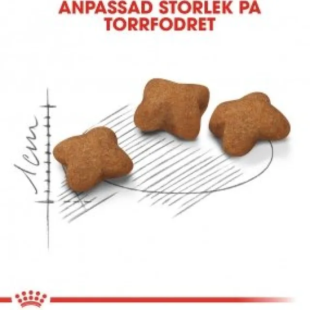 Royal Canin Kitten Sterilised tørrfôr til kattunge