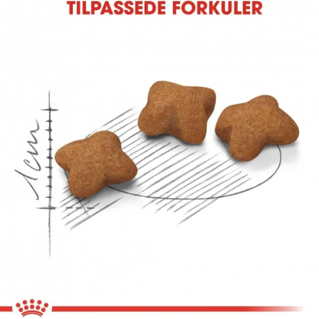 Royal Canin Kitten Sterilised tørrfôr til kattunge