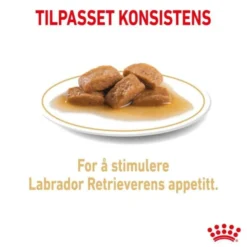 Royal Canin Labrador Retriever Adult Gravy våtfôr til hund 10x140g