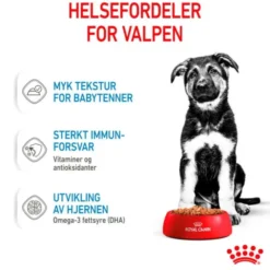 Royal Canin Maxi Puppy Gravy våtfôr til valp 10x140g