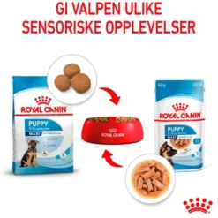 Royal Canin Maxi Puppy Gravy våtfôr til valp 10x140g