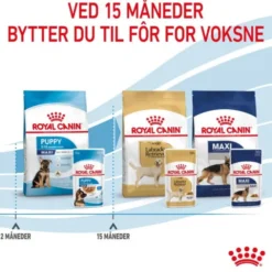 Royal Canin Maxi Puppy Gravy våtfôr til valp 10x140g