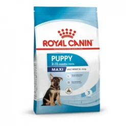 Royal Canin Maxi Puppy Tørrfôr til valp
