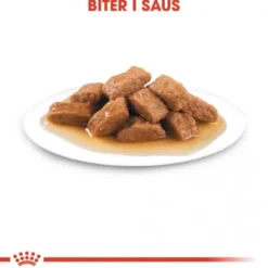 Royal Canin Medium Adult Gravy våtfôr til hund 10x140 g