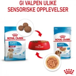 Royal Canin Medium Puppy Gravy våtfôr til valp 10x140g