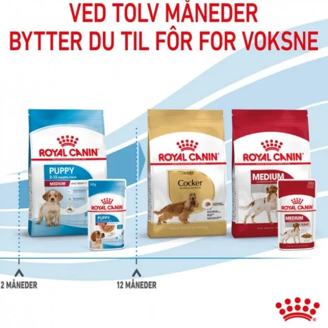 Royal Canin Medium Puppy Gravy våtfôr til valp 10x140g