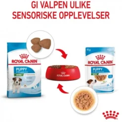 Royal Canin Mini Puppy våtfôr til valp 12x85g