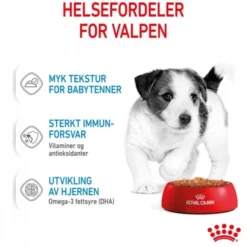 Royal Canin Mini Puppy våtfôr til valp 12x85g