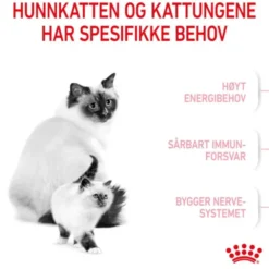 Royal Canin Mother & Babycat Stage 2
