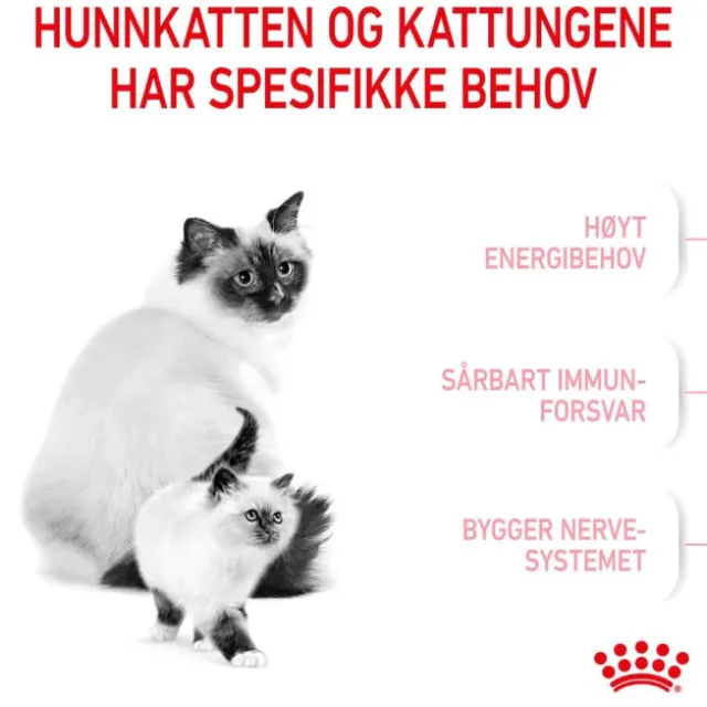 Royal Canin Mother & Babycat Stage 2