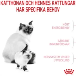 Royal Canin Mother & Babycat Stage 2
