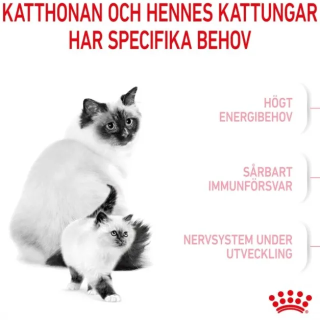 Royal Canin Mother & Babycat Stage 2