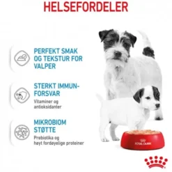 Royal Canin Mother & Babydog Starter Mousse våtfôr til hund og valp