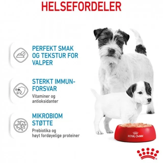 Royal Canin Mother & Babydog Starter Mousse våtfôr til hund og valp