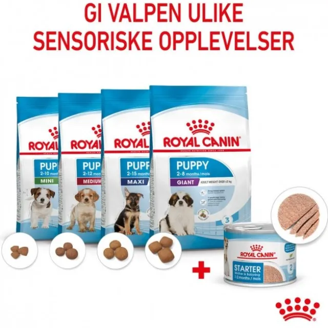 Royal Canin Mother & Babydog Starter Mousse våtfôr til hund og valp
