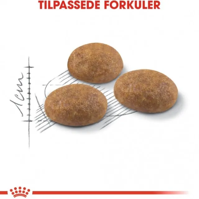 Royal Canin Outdoor Adult tørrfôr til katt