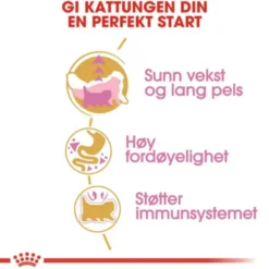 Royal Canin Persian Kitten tørrfôr til kattunge
