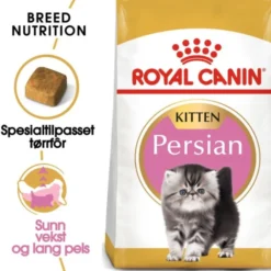 Royal Canin Persian Kitten tørrfôr til kattunge