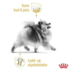 Royal Canin Pomeranian Adult tørrfôr til hund