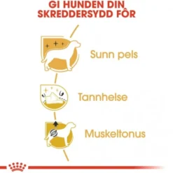 Royal Canin Poodle Adult tørrfôr til hund