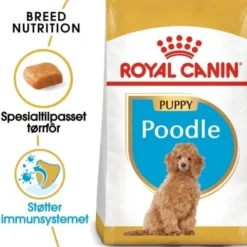 Royal Canin Poodle Puppy tørrfôr til hundvalp