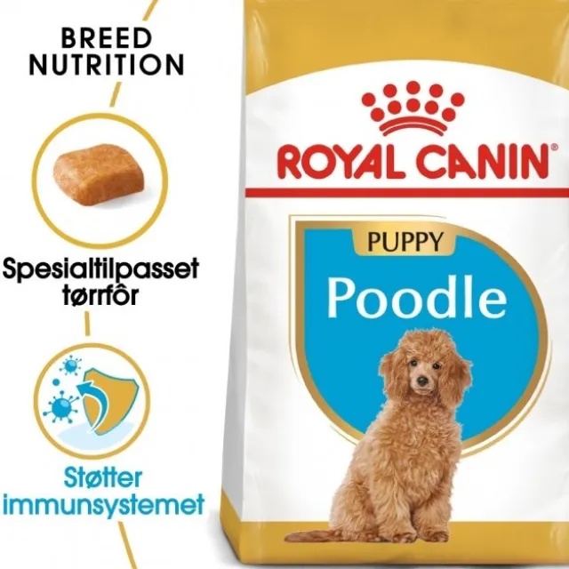 Royal Canin Poodle Puppy tørrfôr til hundvalp