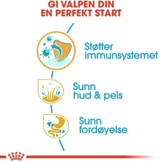 Royal Canin Shih Tzu Puppy tørrfôr til hundvalp