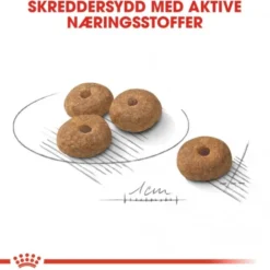 Royal Canin Sterilised Mini Adult tørrfôr til hund