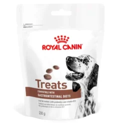 Royal Canin Veterinary Diets Dog Gastrointestinal Godbiter til hund 230 g