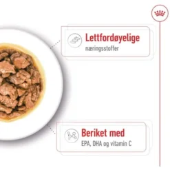 Royal Canin X-Small Adult Gravy våtfôr til hund 12x85g