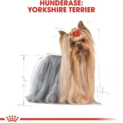 Royal Canin Yorkshire Terrier Adult tørrfôr til hund