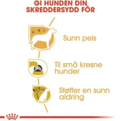 Royal Canin Yorkshire Terrier Adult tørrfôr til hund