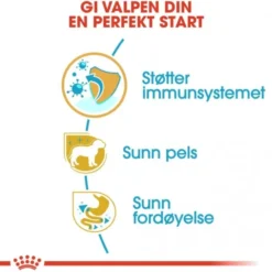 Royal Canin Yorkshire Terrier Puppy tørrfôr til hundvalp