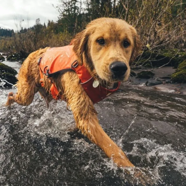 Ruffwear Confluence Flytevest til Hund Oransje