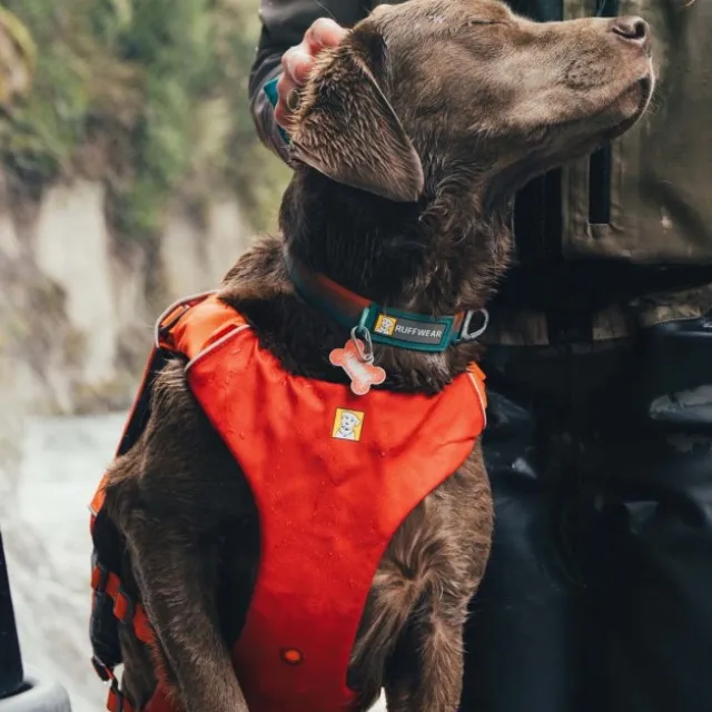 Ruffwear Confluence Flytevest til Hund Oransje
