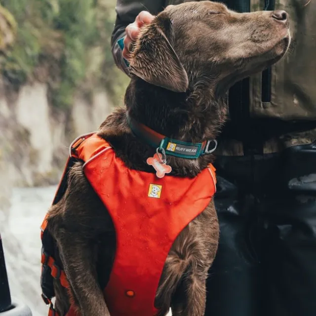 Ruffwear Confluence Flytevest til Hund Oransje