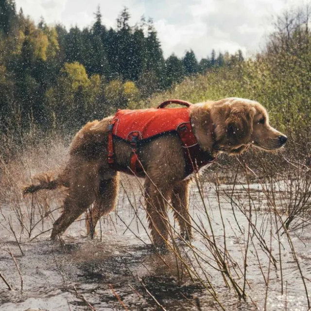 Ruffwear Confluence Flytevest til Hund Oransje