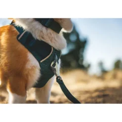 Ruffwear Front Range Flex Harness, Deep Teal