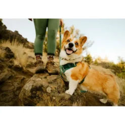Ruffwear Front Range Flex Harness, Deep Teal