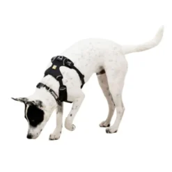 Ruffwear Front Range Flex Hundesele Grå