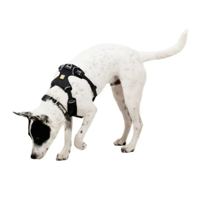 Ruffwear Front Range Flex Hundesele Grå