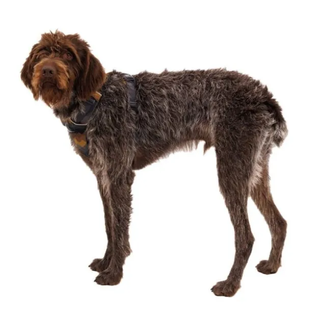 Ruffwear Front Range Hundesele Brun/Lysbrun