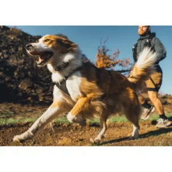 Ruffwear Ridgeline Hundesele Sort