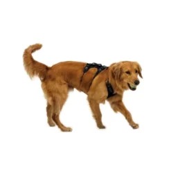 Ruffwear Ridgeline Hundesele Sort