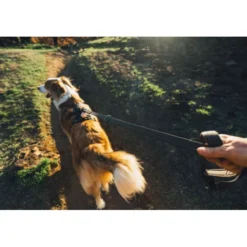 Ruffwear Ridgeline Hundesele Sort