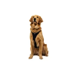 Ruffwear Ridgeline Hundesele Sort