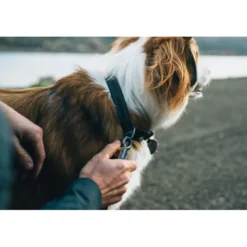Ruffwear Ridgeline Kobbel Sort