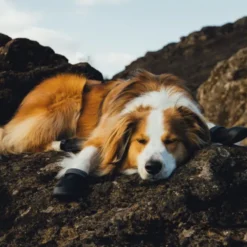 Ruffwear Ridgeline Shoes Obsidian Black