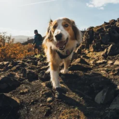 Ruffwear Ridgeline Shoes Obsidian Black