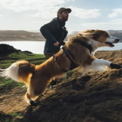 Ruffwear Ridgeline Shoes Obsidian Black